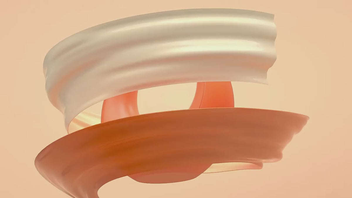 Premium Fitness Dumbbell Slimming Body Shaping Exercise Fitness Equipment